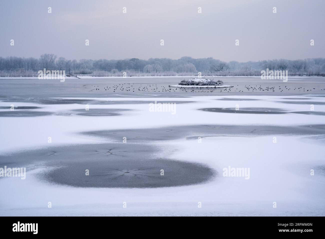 Ice patterns on Dernford Farm reservoir, Sawston, Cambridgeshire. Cold winter scene. Stock Photo