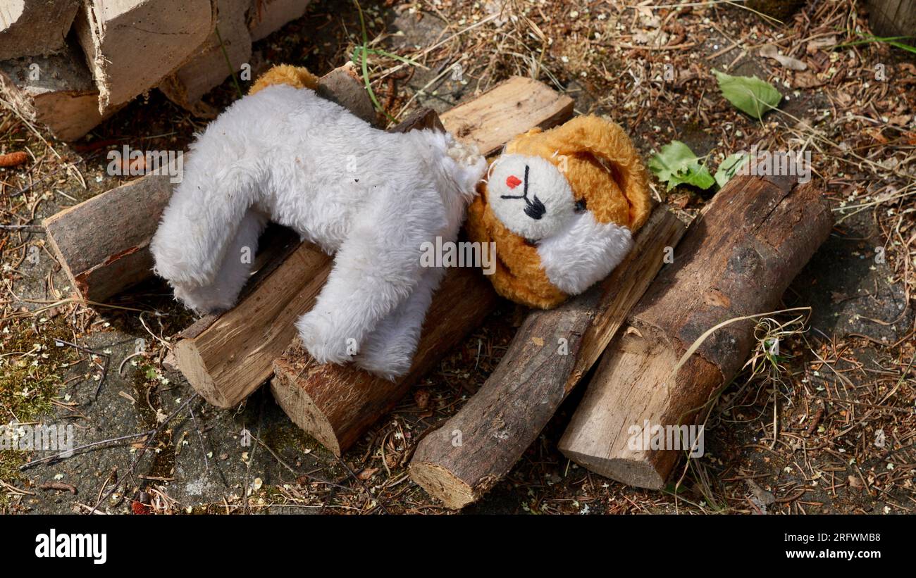 Old worn toy dog with a torn off head. Stock Photo