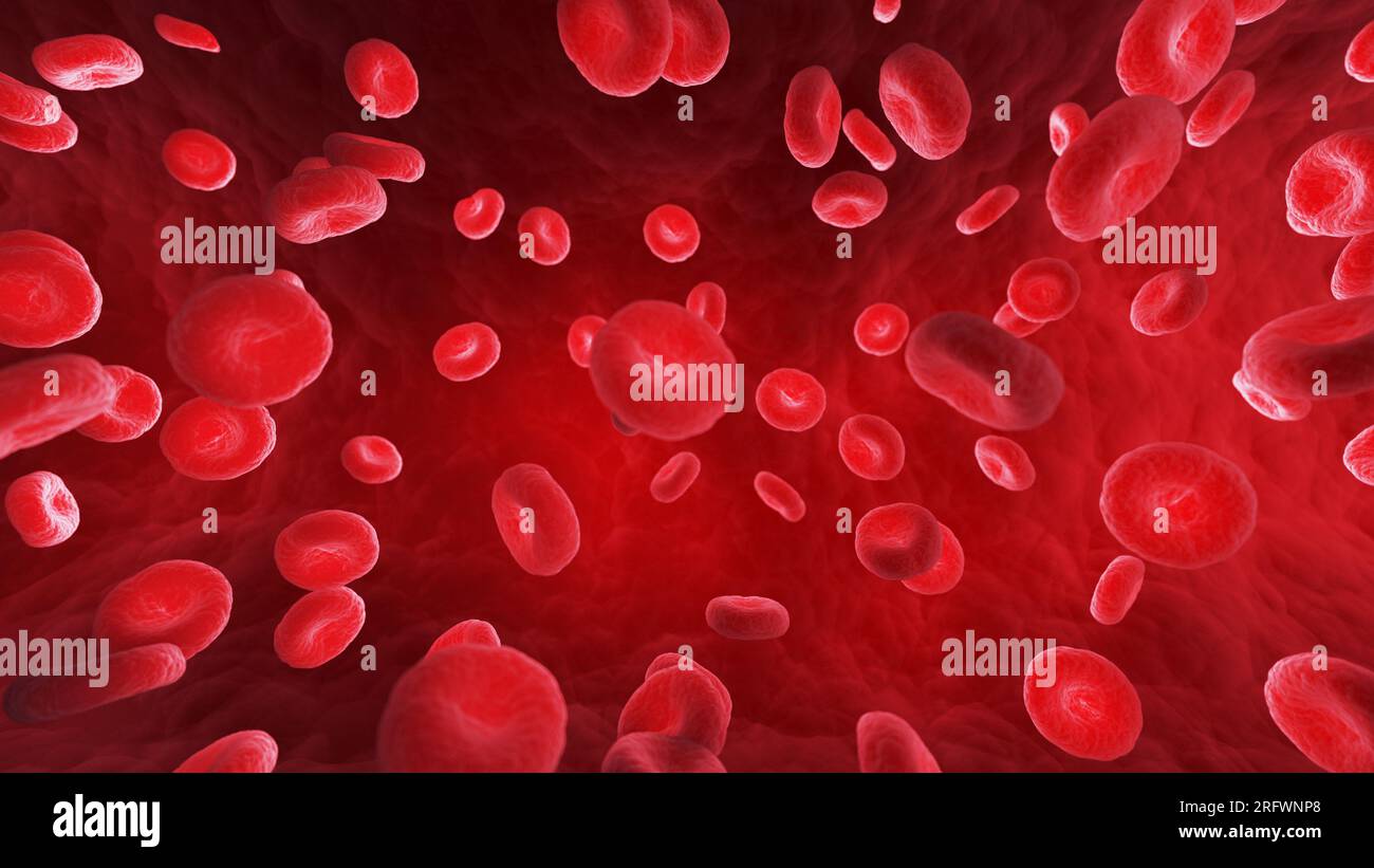 Red blood cells, illustration Stock Photo - Alamy