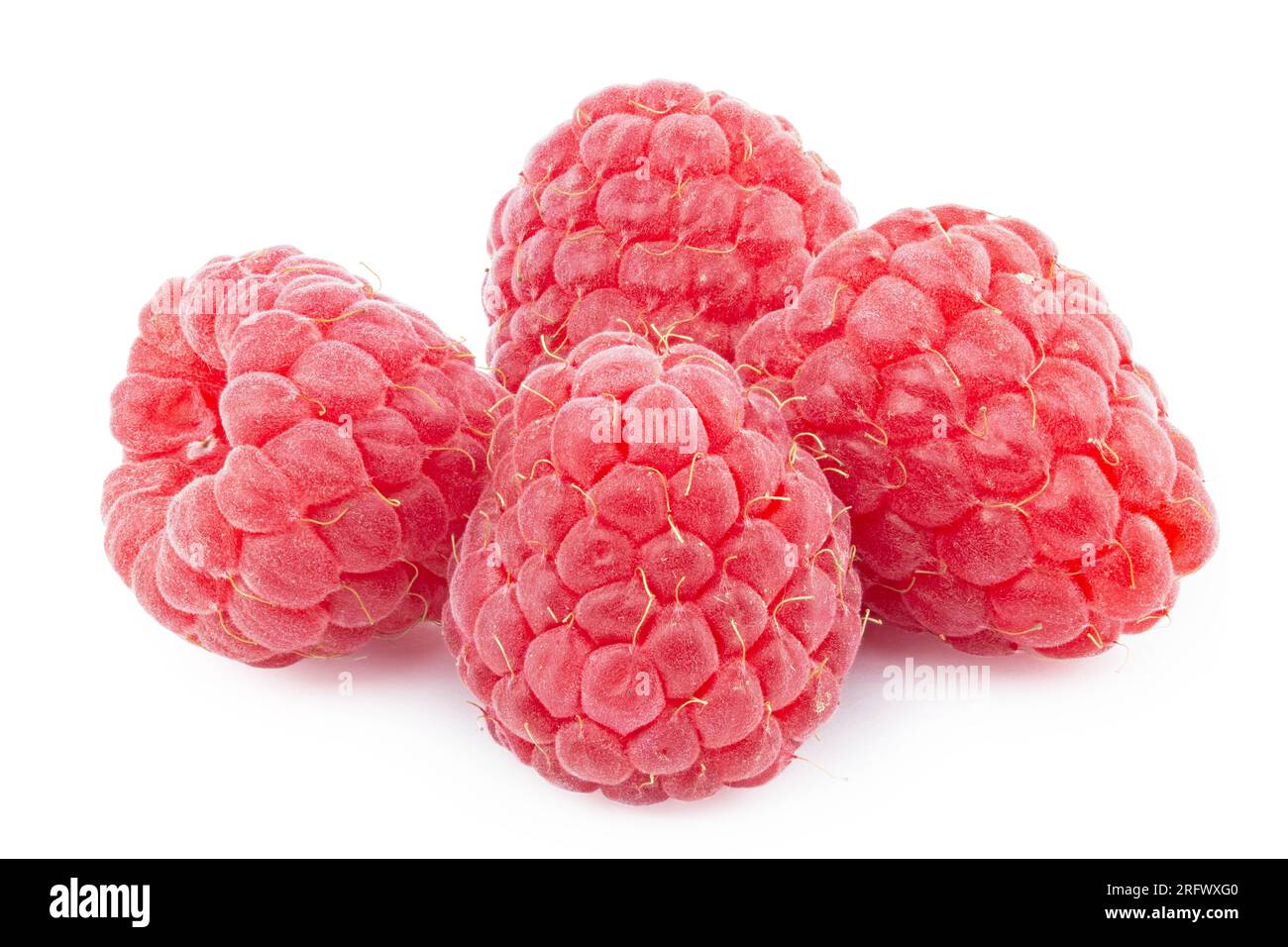 Bunch of raspberry fruits isolated in white background. Isolated ...