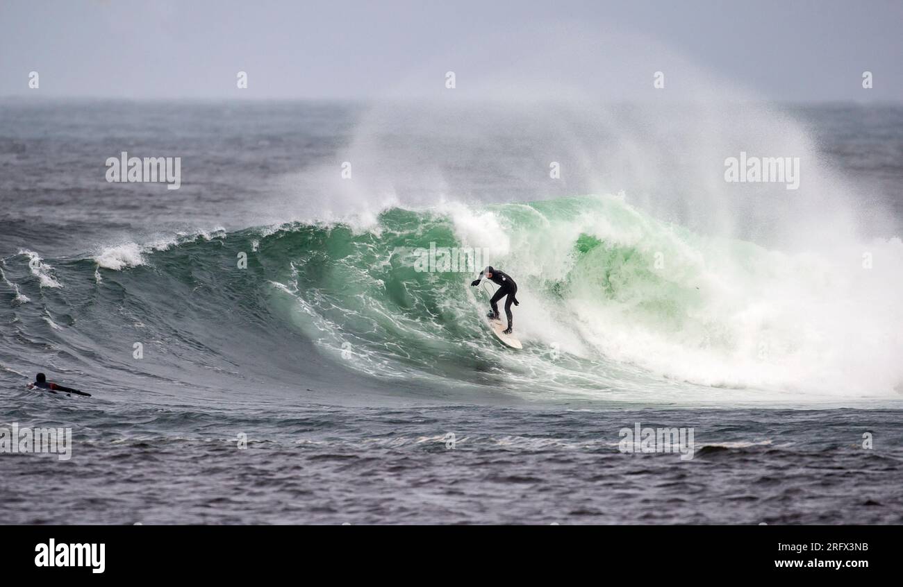 Surfer in green sea Stock Photo