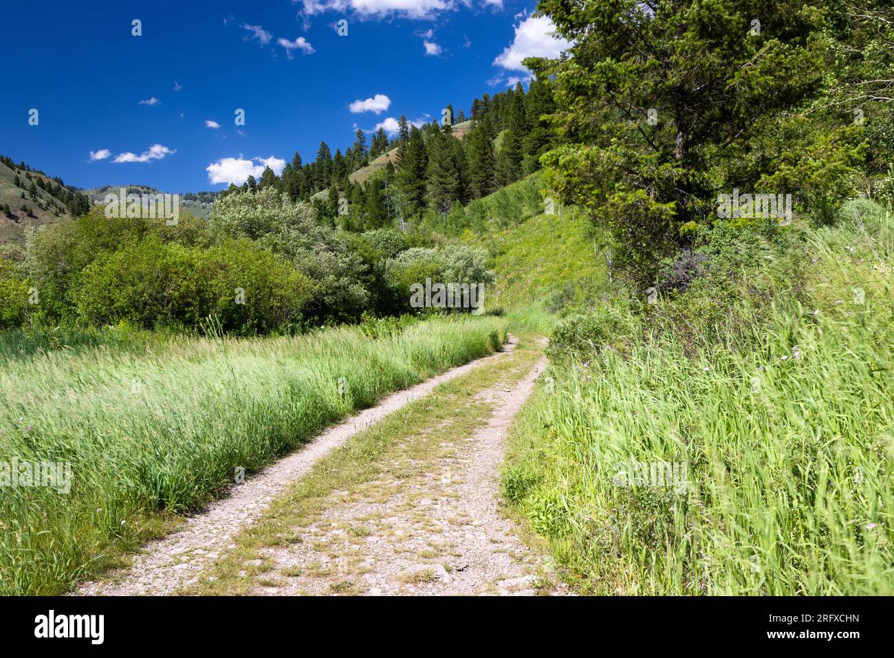 The Game Creek Trail bending below trees and bushes along the hills of