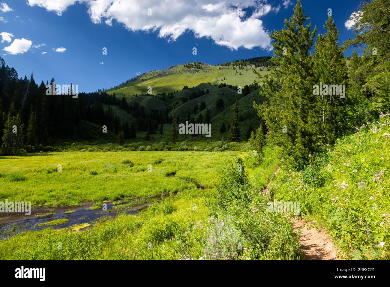 The Game Creek Trail winding past beaver ponds along Game Creek in the