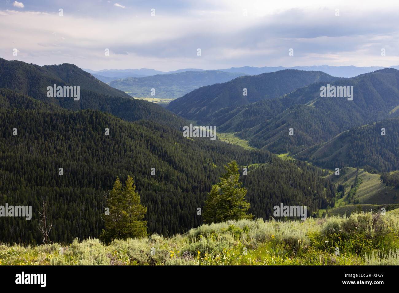 The Game Creek Trail winding through a canyon below the Overlook Trail