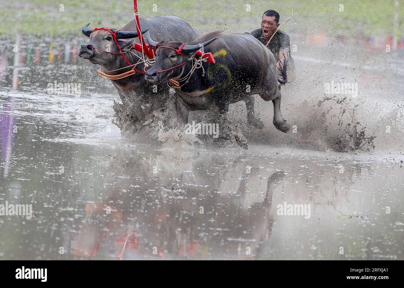 Chonburi, Thailand. 06th Aug, 2023. A jockey competes during the annual