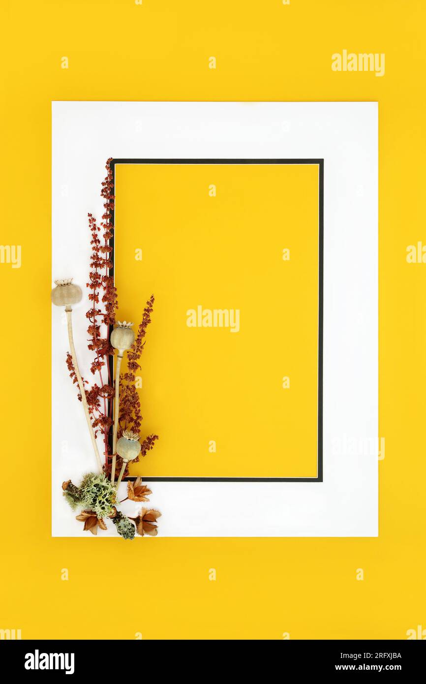 Autumn Fall background border design on yellow. Minimal seasonal composition for greeting card, label, menu, invitation, gift tag. Stock Photo
