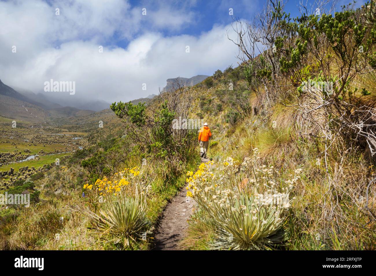 Hiker in high mountains in Colombia, South America Stock Photo