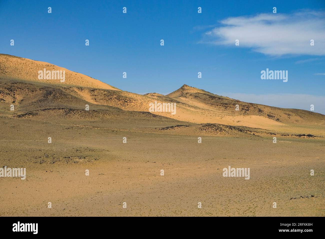 Khongor Sand Dunes in the Gobi Desert in Mongolia. Stock Photo