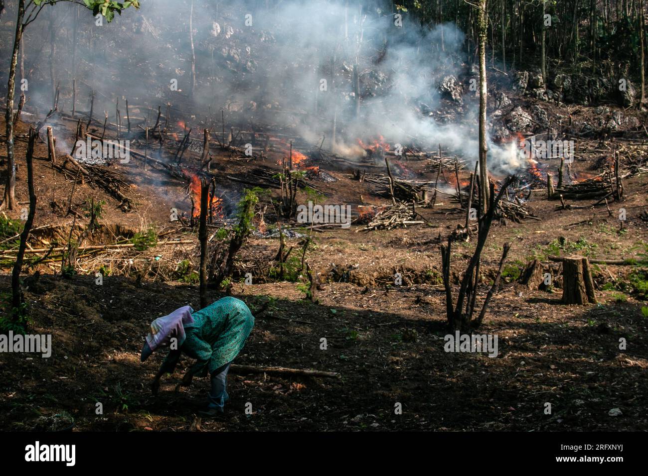 Bogor, Indonesia August 05, 2023 Farmers are using the ancient