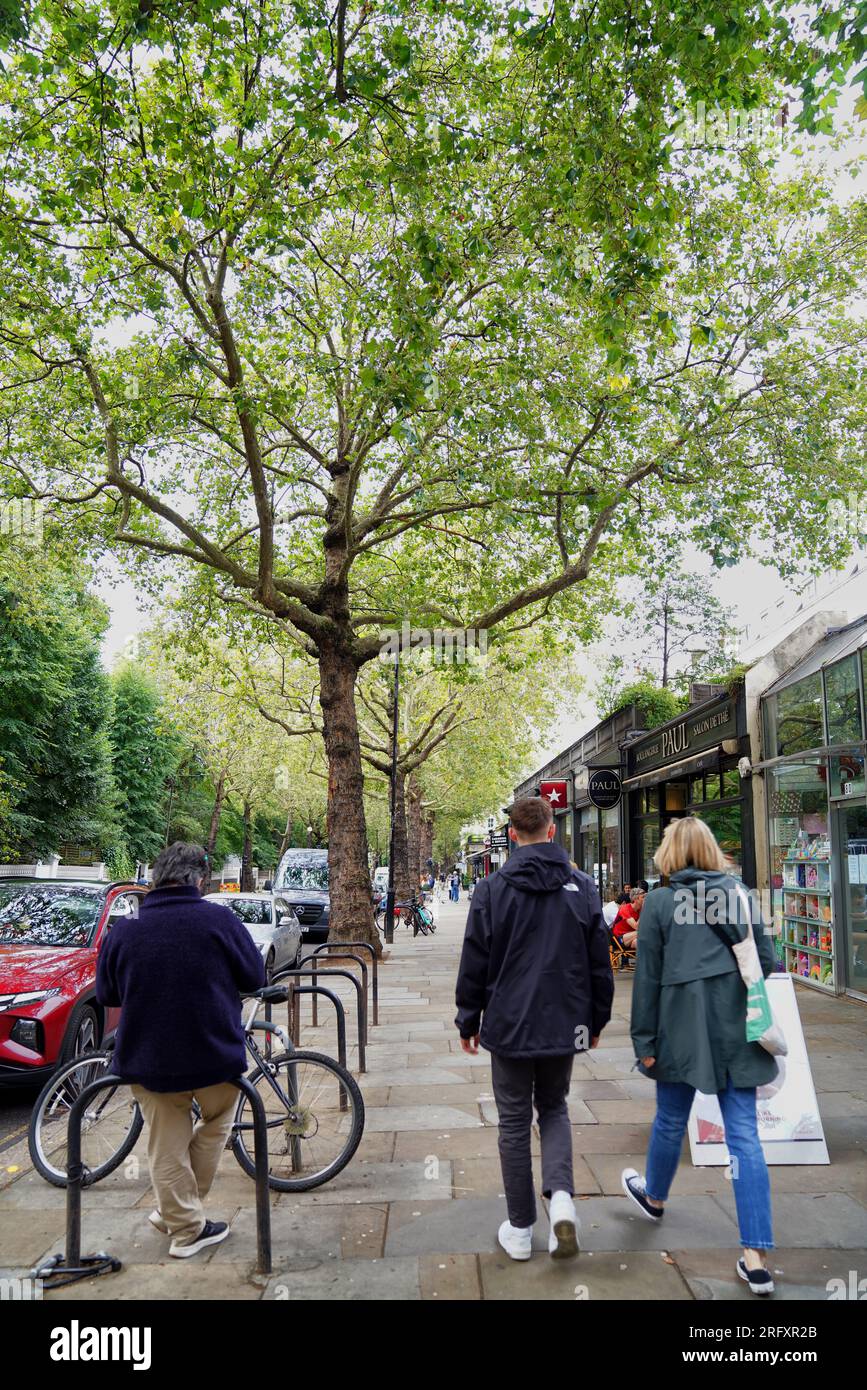 Holland Park Avenue, London, England Stock Photo Alamy