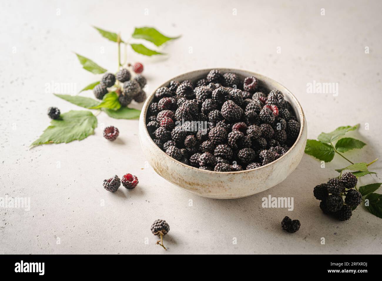 Cumberland black raspberry berry hi-res stock photography and images ...