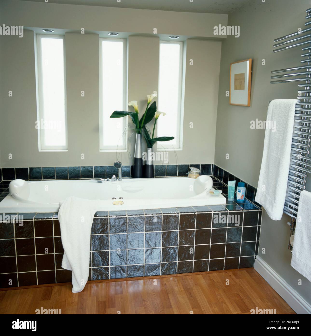 House interiors: bathroom Stock Photo