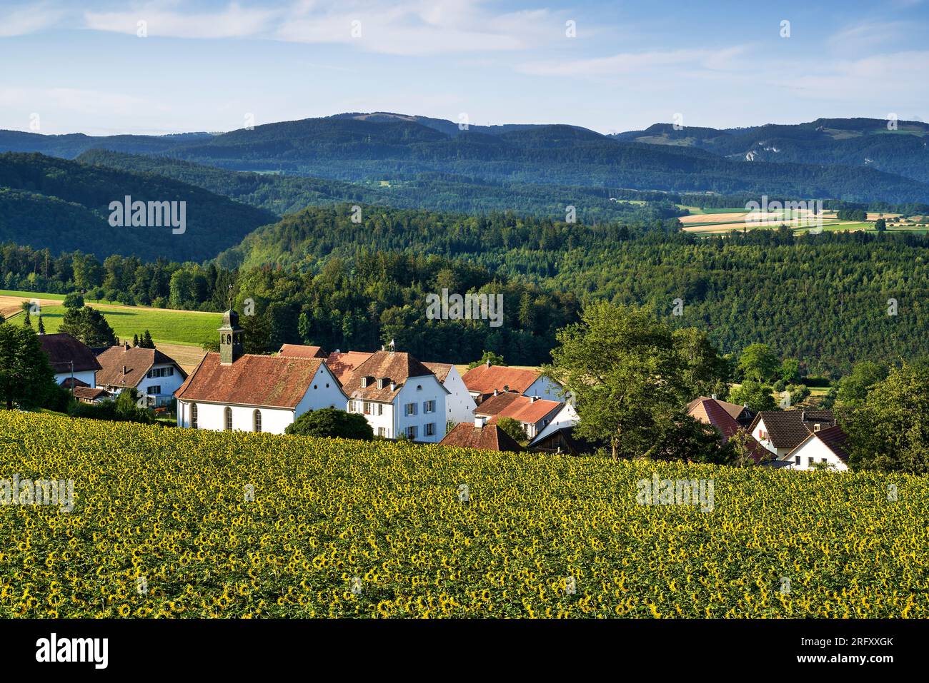 Nenzlingen, Nenzlingen BL, BL, Laufen valley in the canton of Baselland, Switzerland Stock Photo