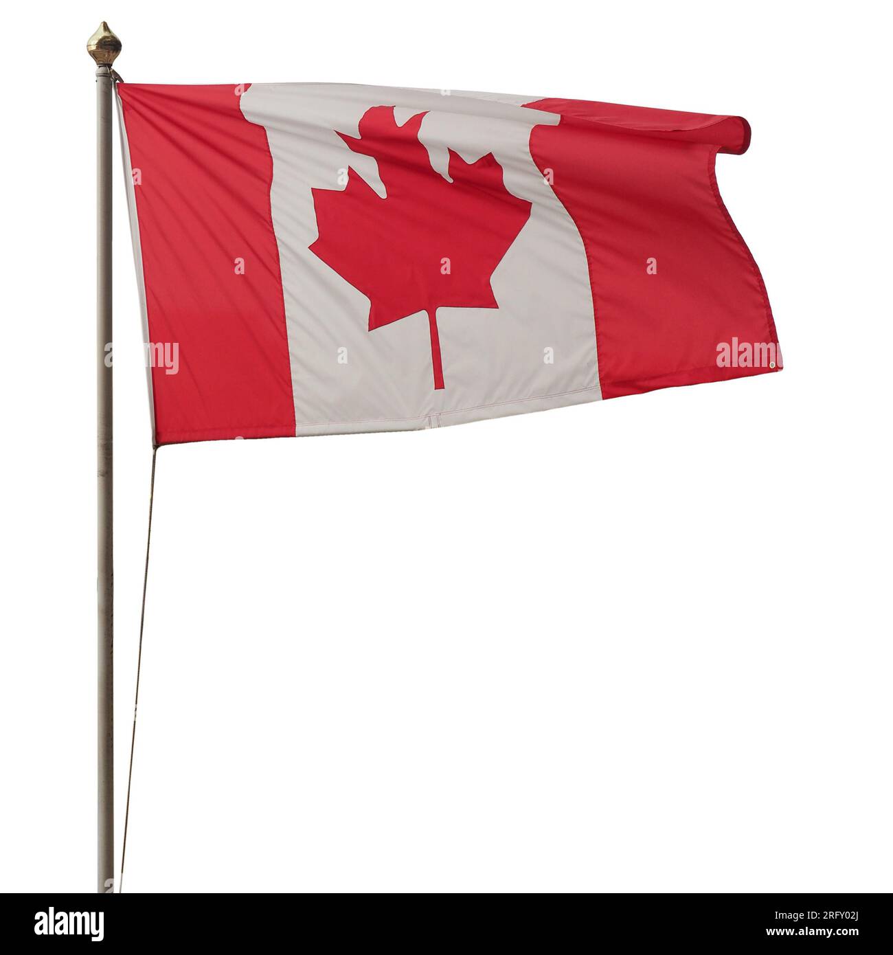the Canadian national flag of Canada isolated over white background