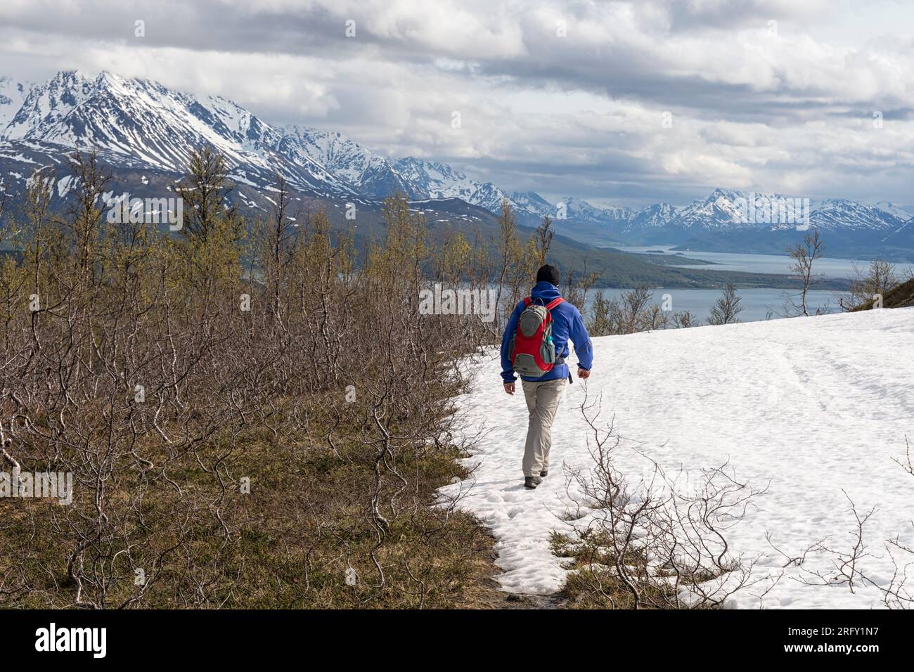 A man walks downhill on a path Panoramic views of the fjord and snow-capped mountains. Barheia, Svensby, Lyngen Alps, Lyngsalpan, Northern Norway Stock Photo