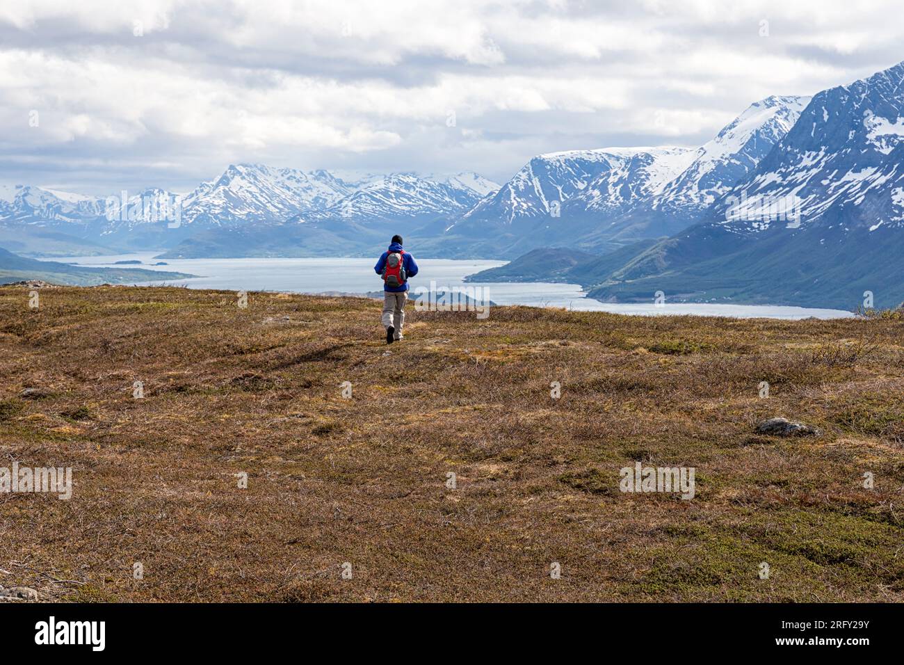 A man is hiking on the summit of Barheia. Panoramic views of the fjord and snow-capped mountains. Svensby, Lyngen Alps, Lyngsalpan, Northern Norway Stock Photo