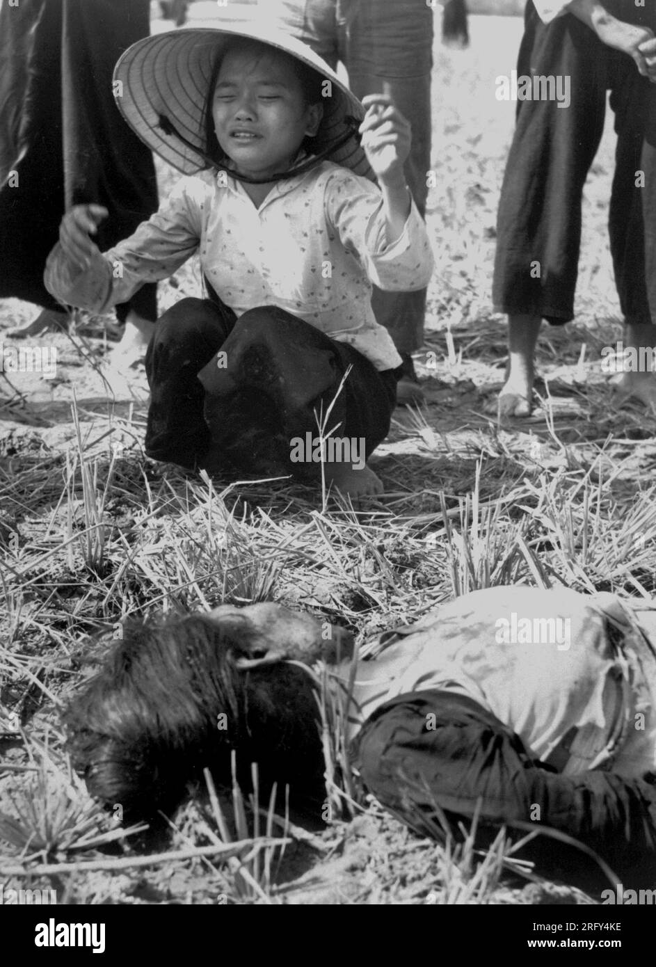 TUY HOA, VIETNAM - 1966 - Fifteen Vietnamese civilians were killed in the explosion of a homemade Viet Cong mine on a country road. Most of the victim Stock Photo