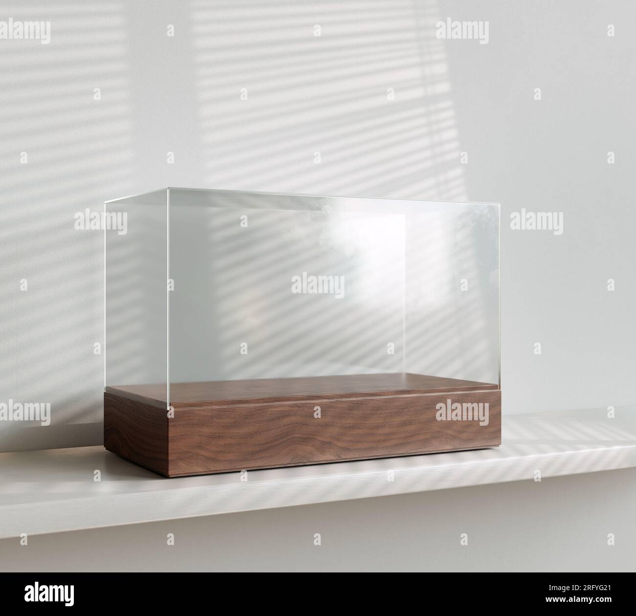 An empty glass display case with a wooden base sitting on a white shelf and wall background - 3D render Stock Photo