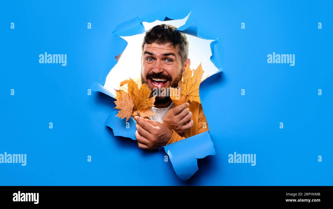 Happy bearded man with autumn leaves looking through paper hole. Smiling man in trendy autumn outfit with fall maple leafs. Autumn fashion for men Stock Photo