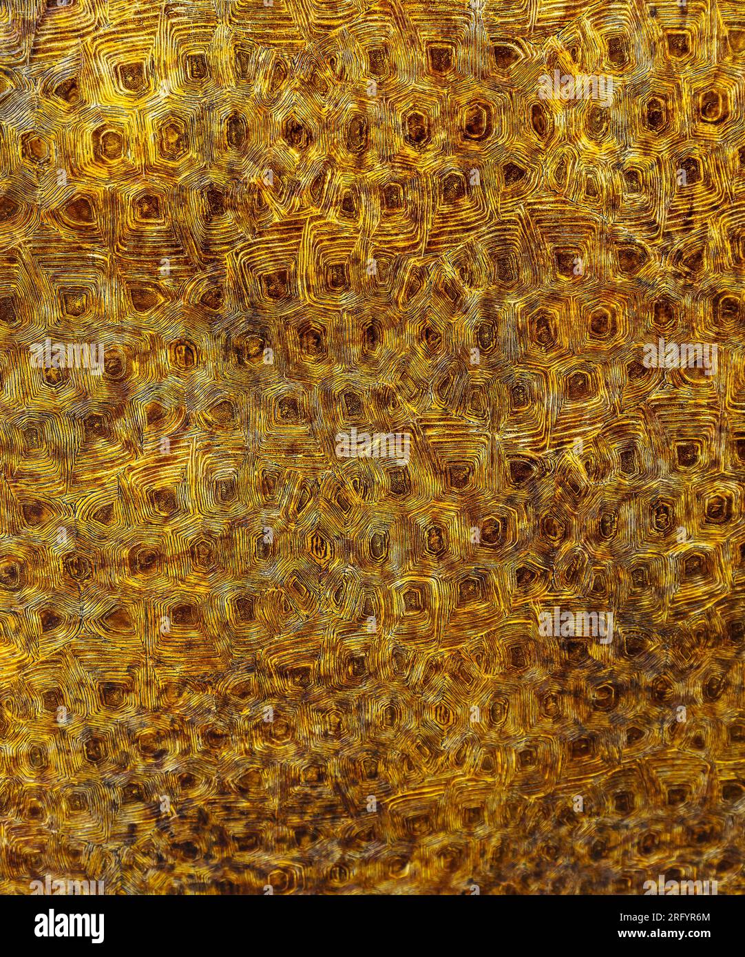 Rusty metal surface with decorative relief. Stock Photo