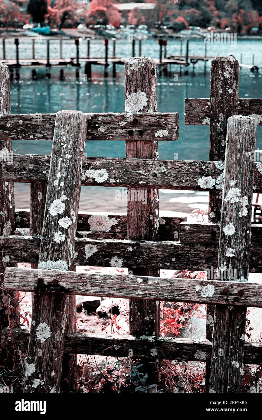 Old dilapidated wooden fence on the jetty by the lake shore Stock Photo ...