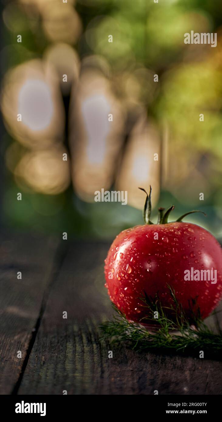 Red tomato with dew drops with parsley on a wooden table with a window in the background Stock Photo