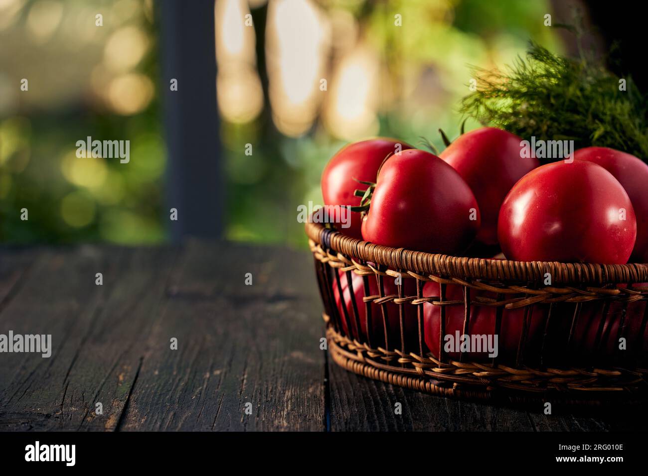 Red tomatoes in a wooden basket on a wooden table with a window in the background Stock Photo