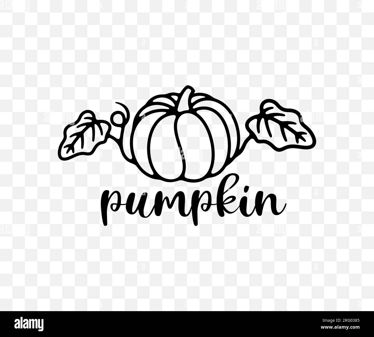 Pumpkin with leaves, vegetable garden and beds, linear graphic design. Vegetables, fruit, plant, food and meal, vector design and illustration Stock Vector