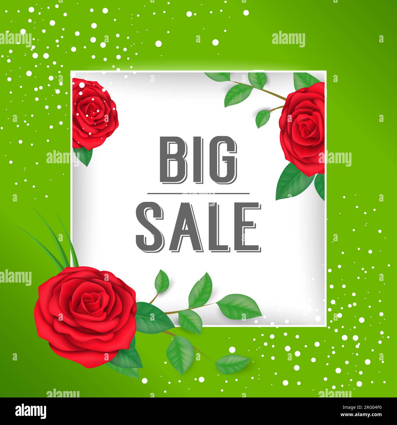 Big white roses Stock Vector Images - Alamy