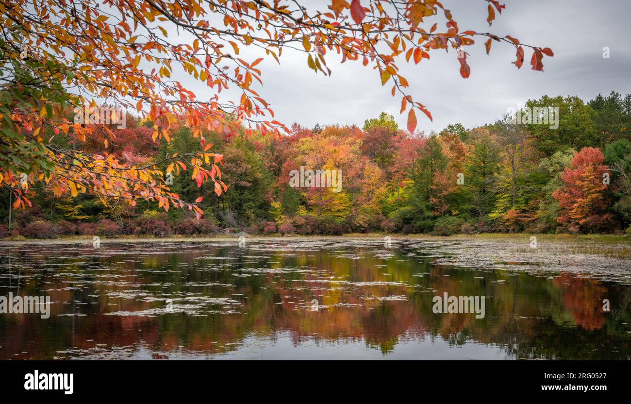 Pond near Eagles Mere, PA Stock Photo - Alamy