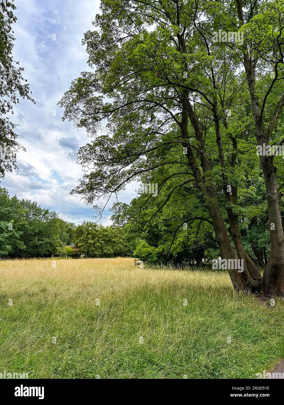 The popular "Britzer garden" (Britzer Garten), Berlin Germany Stock