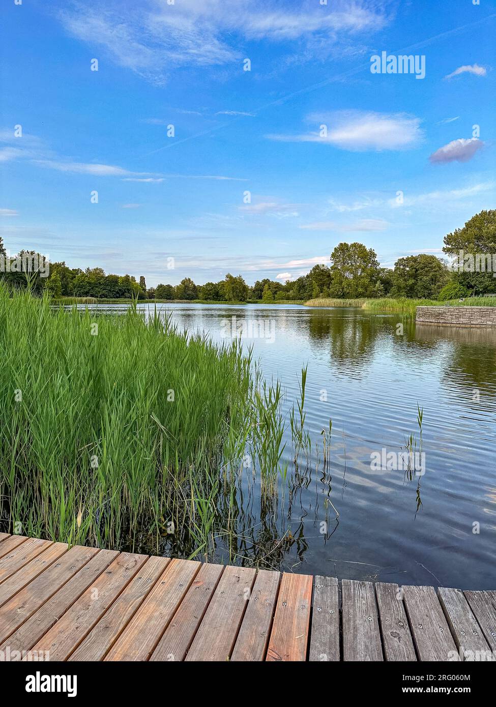 Lake in popular "Britzer garden" (Britzer Garten), Berlin Germany