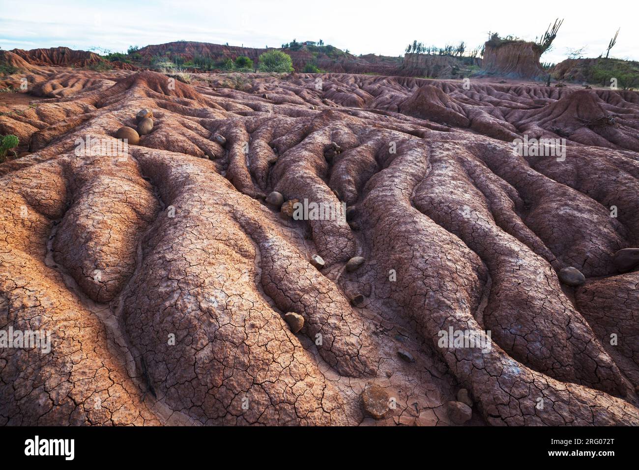 Unusual landscapes in Tatacoa desert, Colombia, South America Stock Photo
