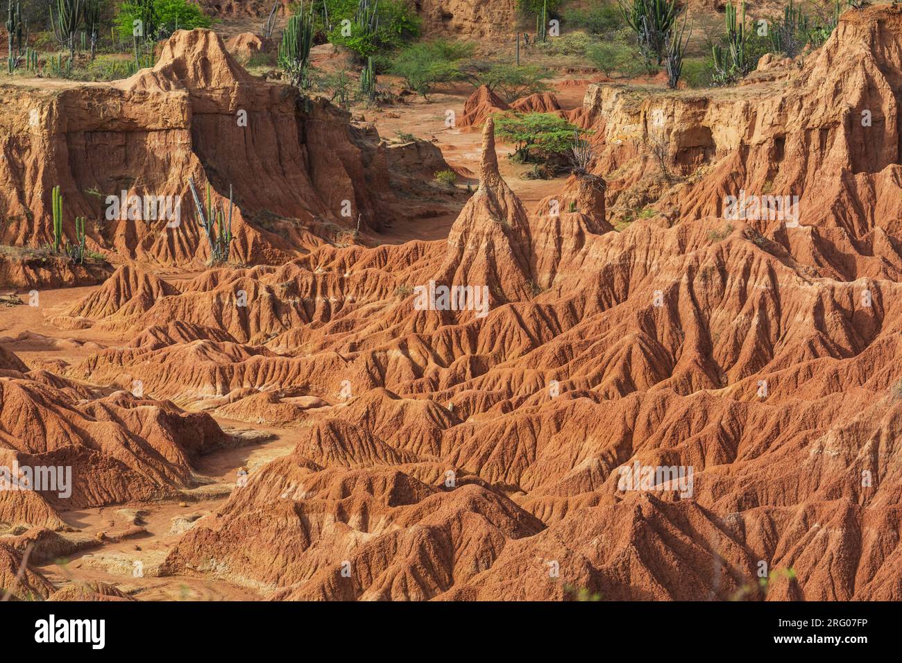 Unusual landscapes in Tatacoa desert, Colombia, South America Stock Photo