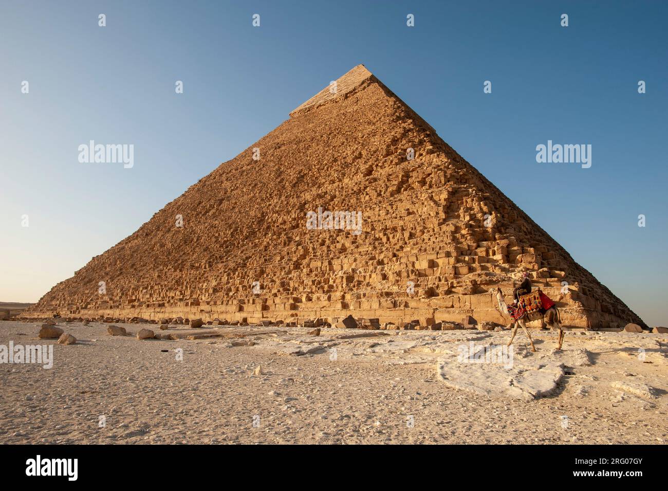 Africa, Egypt, Giza. A camel and rider at the great pyramids of Giza ...