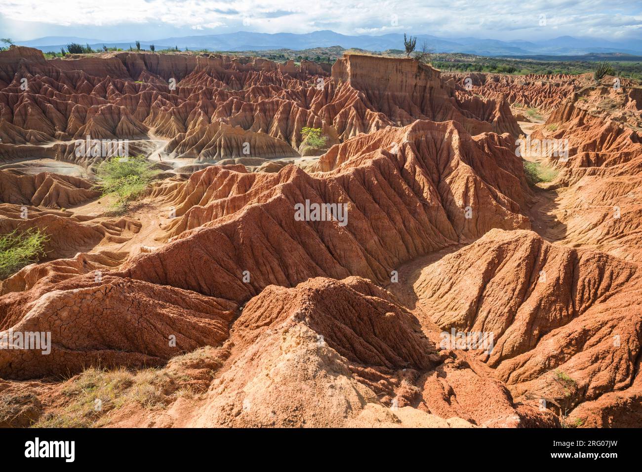 Unusual landscapes in Tatacoa desert, Colombia, South America Stock Photo