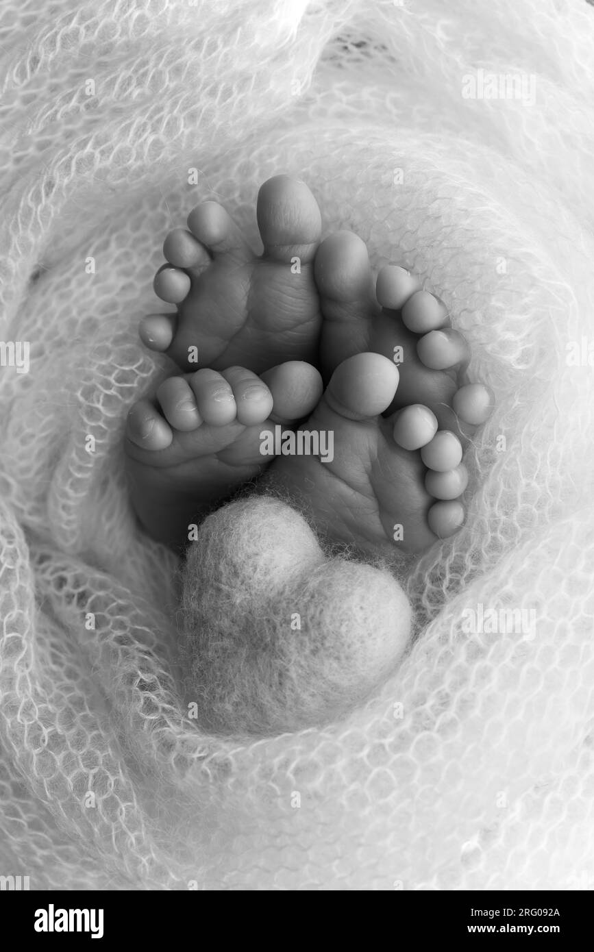 Baby wrapped in blanket Black and White Stock Photos & Images Alamy
