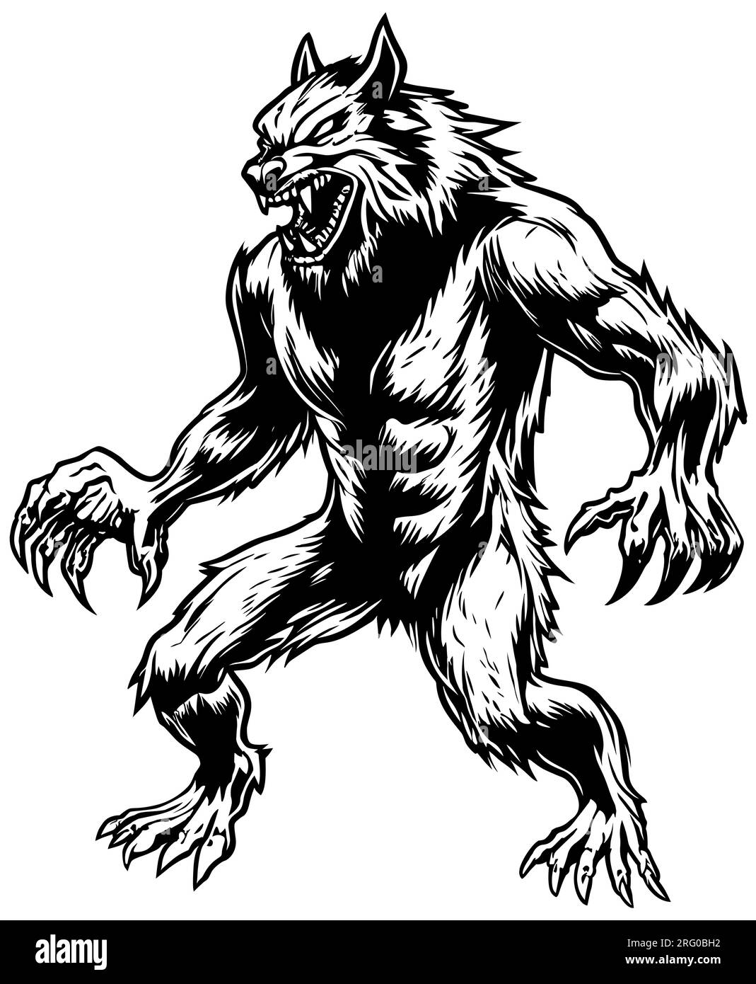 Werewolf Line Art Stock Vector Image & Art - Alamy