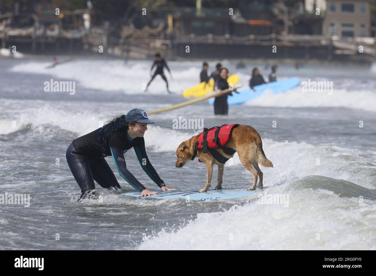 Pacifica, California, USA. 5th August, 2023. Catching waves and wagging tails at the 2023 World Dog Surfing Championship in Pacifica, California. Furr Stock Photo