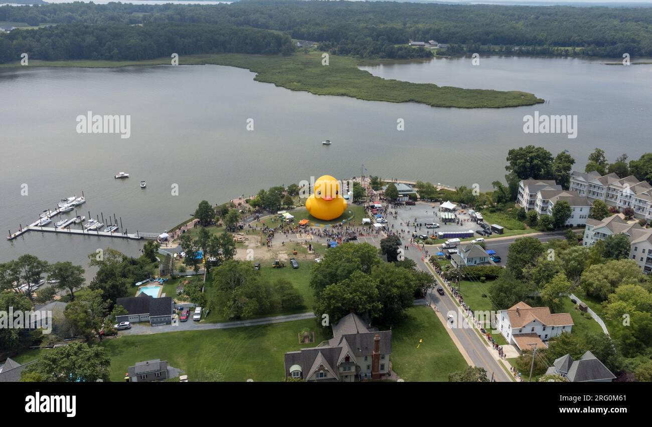 Leonardtown MD, August 6, 2023 --Aerial of the World's Largest Rubber Duck that made an appearance at the town's Wharf Festival this weekend. Stock Photo