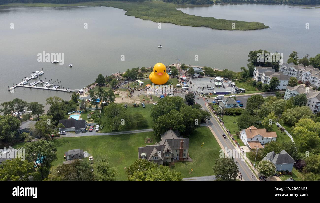 Leonardtown MD, August 6, 2023 --Aerial of the World's Largest Rubber Duck that made an appearance at the town's Wharf Festival this weekend. Stock Photo
