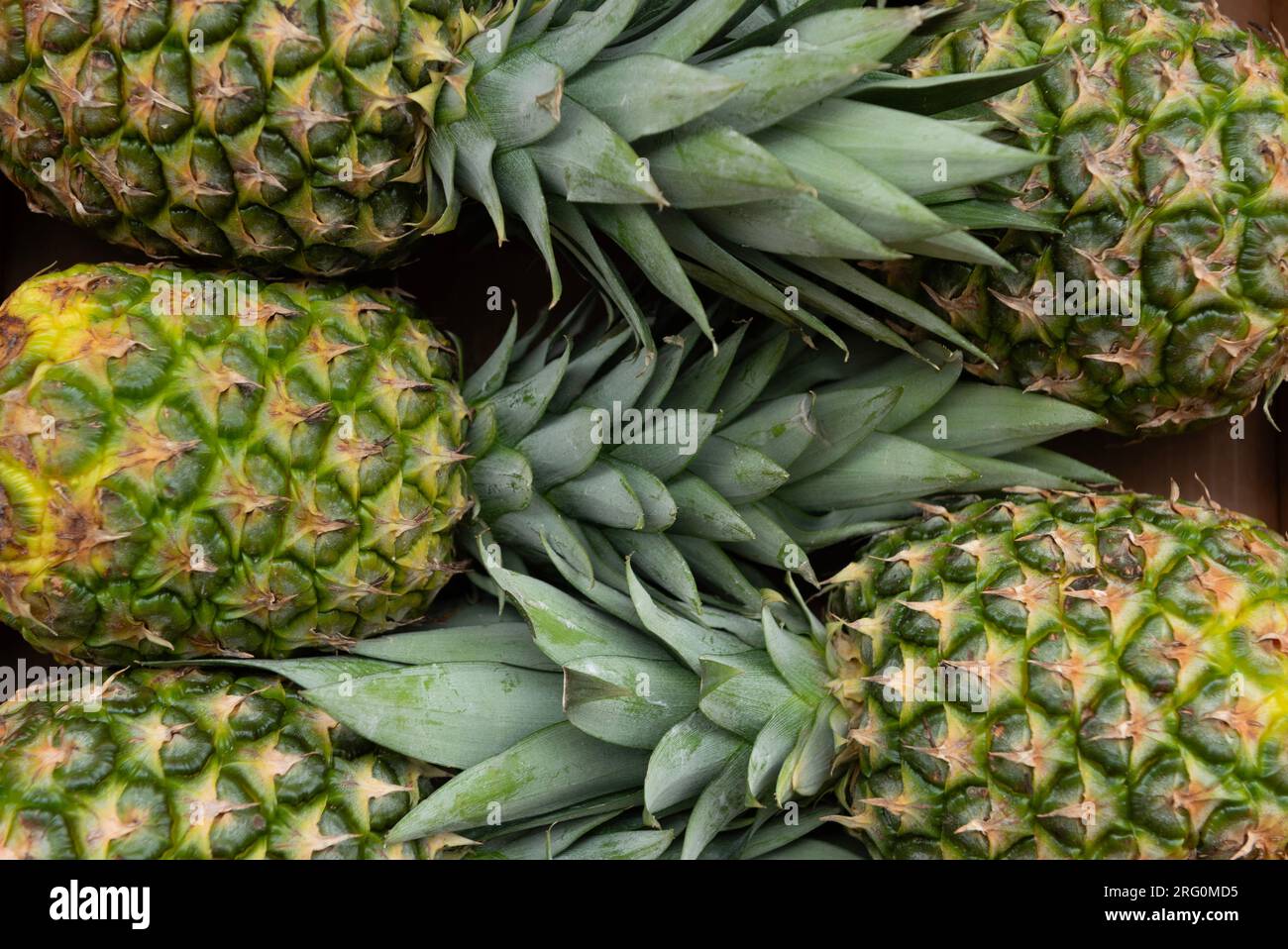 Bunch of pineapples hi-res stock photography and images - Alamy