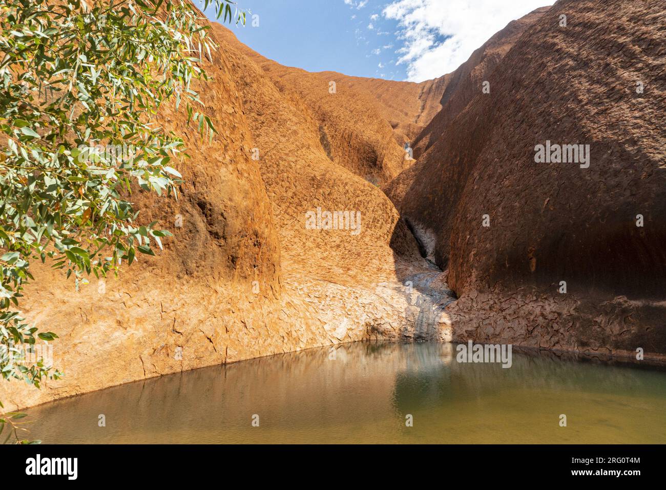 Mutitjulu waterhole, a sacred site and reliable water source at the