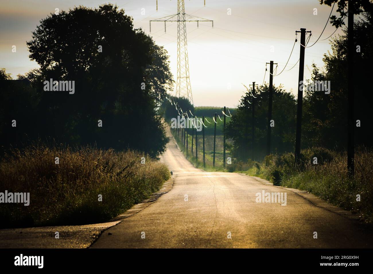lonely road in natural landscape with power poles Stock Photo