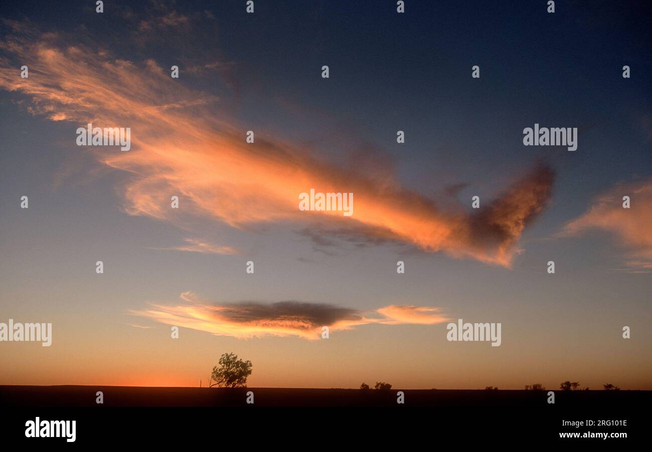 Cloud in the shape of a human leg and foot at sunset, Australia Stock Photo