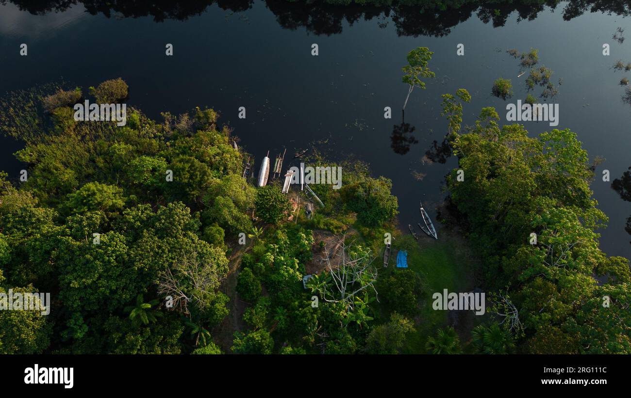 AMAZON TROPICAL JUNGLE, GREEN TREES Stock Photo Alamy