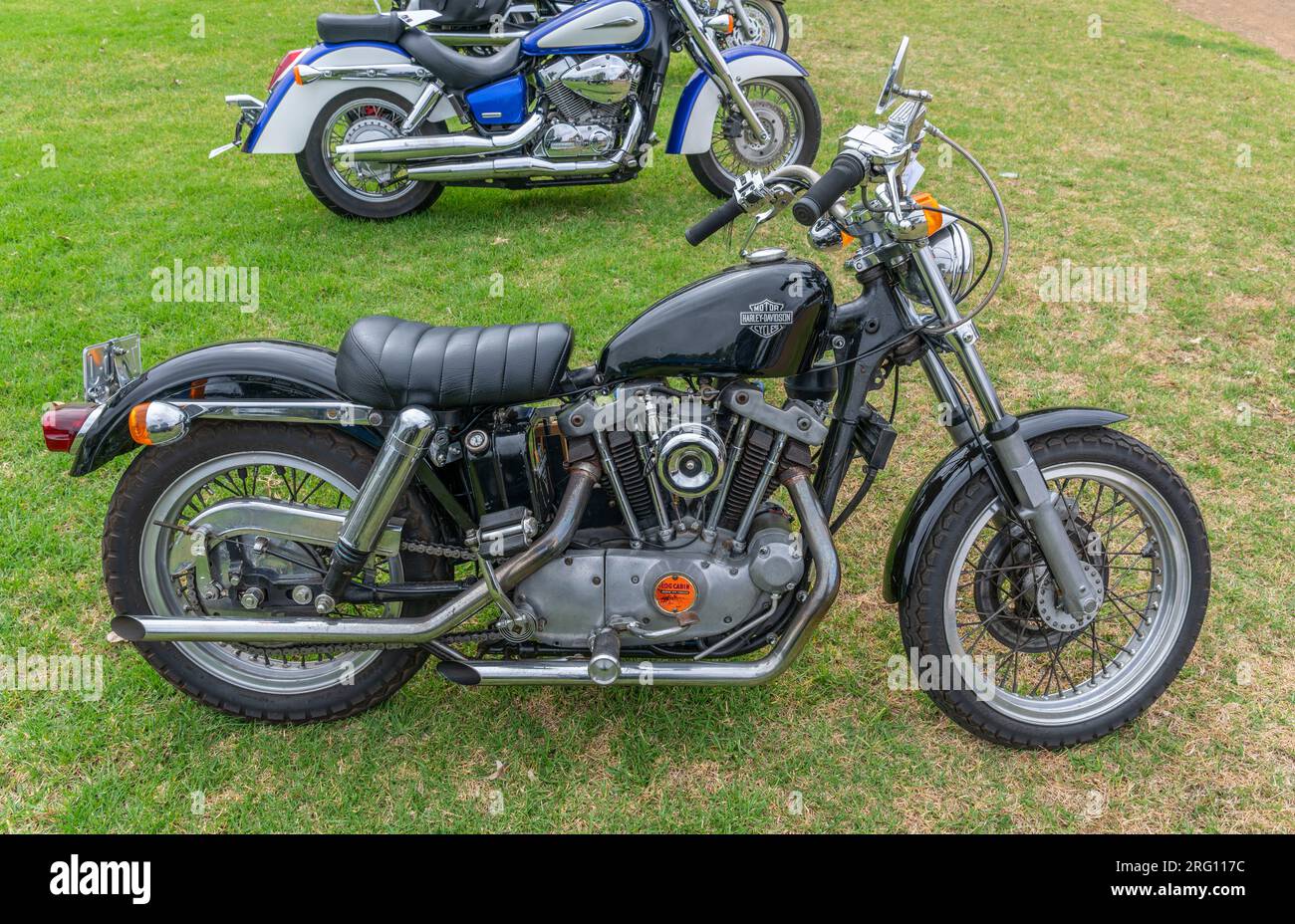 1960 sportster on sale