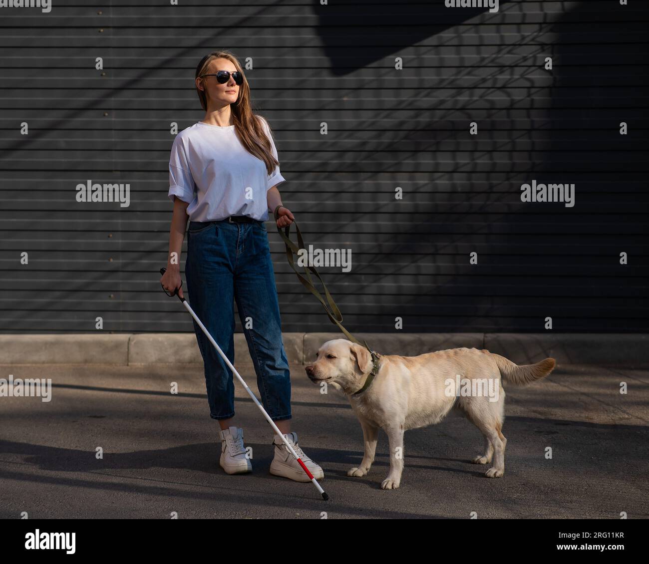 Blind woman walking guide dog outdoors Stock Photo - Alamy