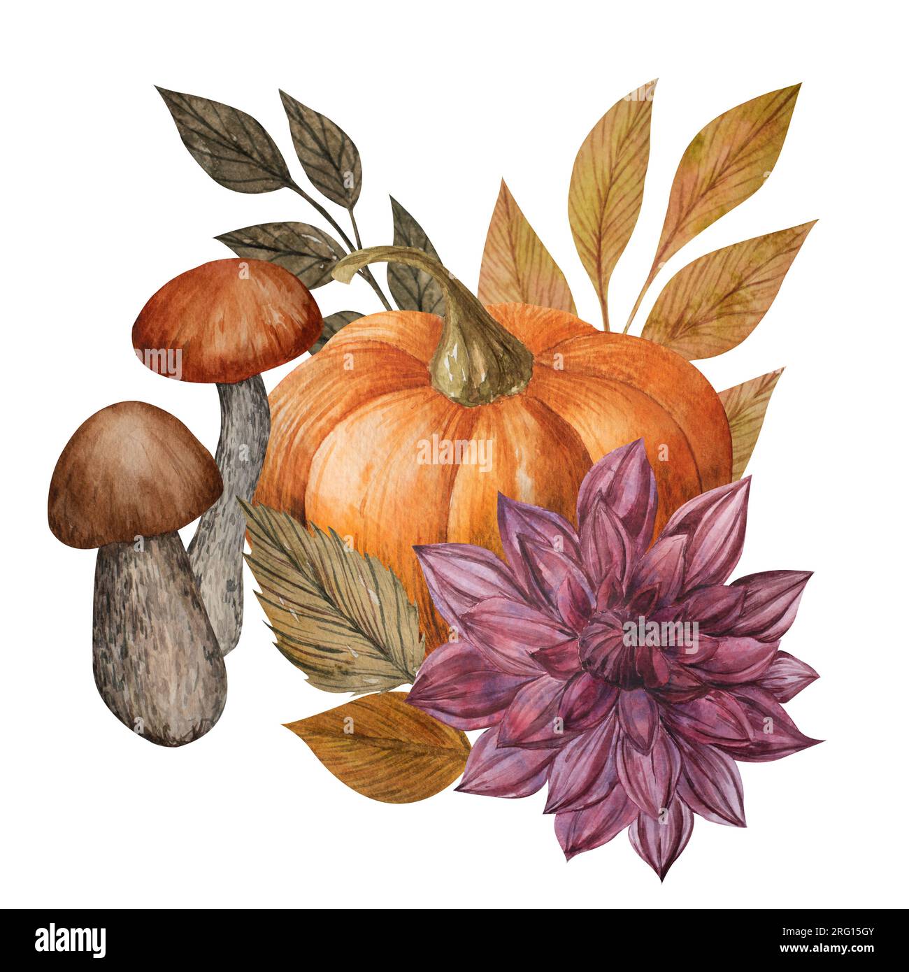 Watercolor autumn composition with pumpkins, Dahlia, leaves and ...