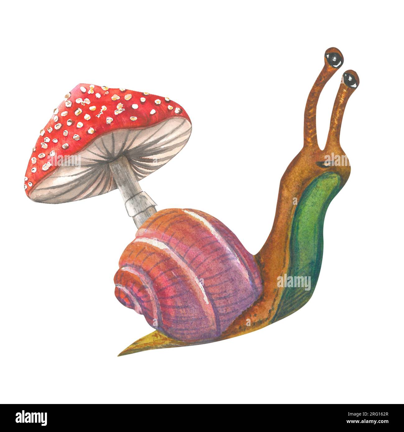 Watercolor illustration of snail and fly agaric. Composition made by hand isolated on white background Stock Photo